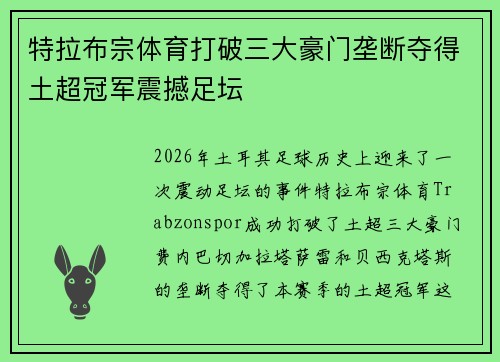 特拉布宗体育打破三大豪门垄断夺得土超冠军震撼足坛